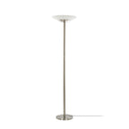 Ragna 71" Nickel LED Floor Lamp