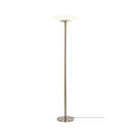 Ragna 71" Nickel LED Floor Lamp