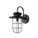 Lucande Oliver Outdoor Wall Light