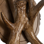Lucande Fibi wall light, brown, 2-bulb, antler