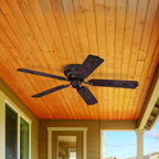 Contempra ceiling fan