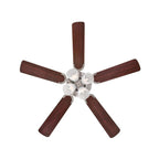 Contempra ceiling fan