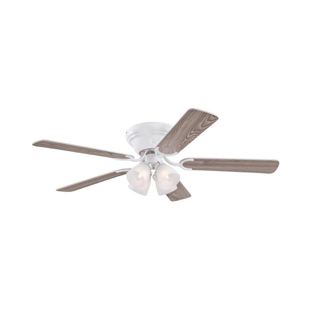 Contempra ceiling fan