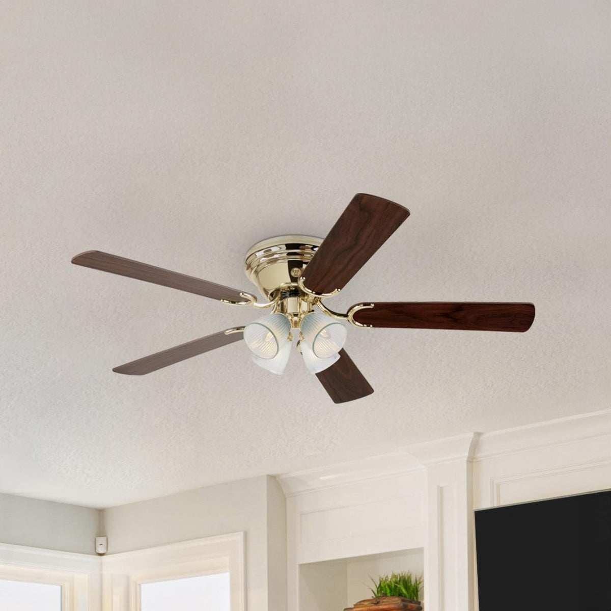 Contempra ceiling fan, light, wood/brass, 52in, E12 LED