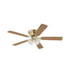 Contempra ceiling fan