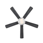 Comet ceiling fan with light, anthracite/wood/nickel, 52 in