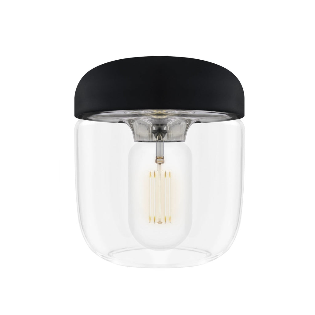 Acorn 5 1/2" Black Clear LED Pendant Light