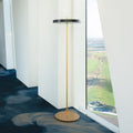 Asteria 59 1/2" Anthracite Brass LED Floor Lamp