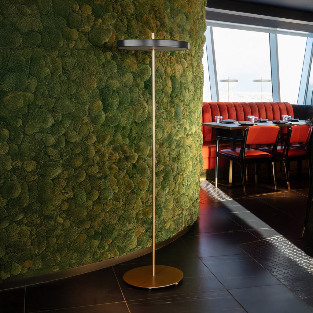 UMAGE Asteria LED floor lamp, anthracite/brass, 59.3 in, dimmable