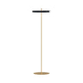 UMAGE Asteria LED floor lamp, anthracite/brass, 59.3 in, dimmable
